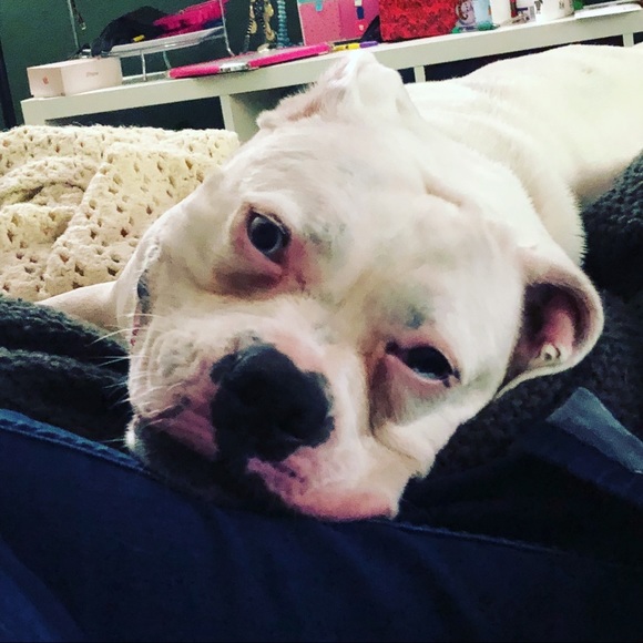 Meet your Posher,  @cutiee23 - Picture 2 of 7